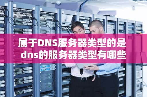 属于DNS服务器类型的是 dns的服务器类型有哪些
