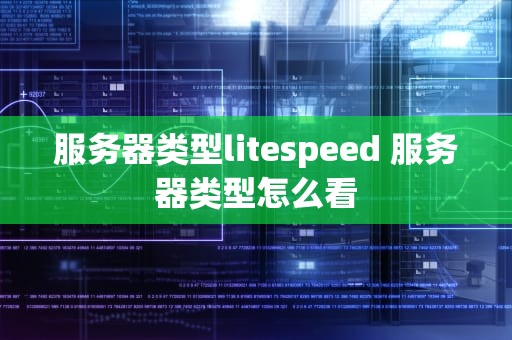 服务器类型litespeed 服务器类型怎么看