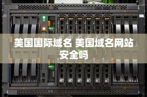 美国国际域名 美国域名网站安全吗