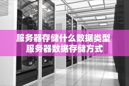 服务器存储什么数据类型 服务器数据存储方式
