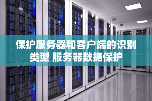 保护服务器和客户端的识别类型 服务器数据保护