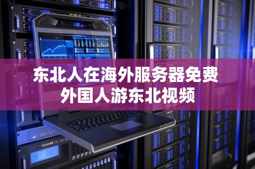 东北人在海外服务器免费 外国人游东北视频
