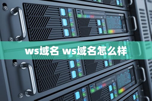 ws域名 ws域名怎么样
