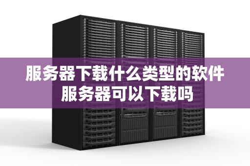服务器下载什么类型的软件 服务器可以下载吗