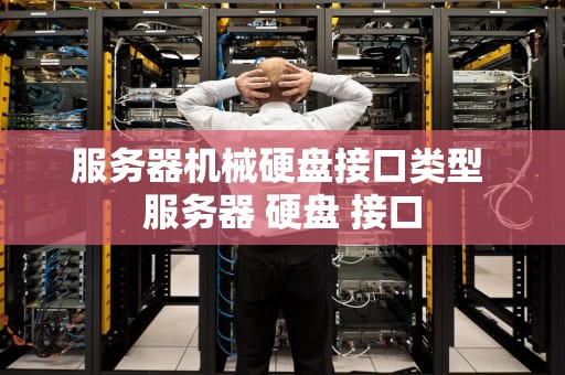 服务器机械硬盘接口类型 服务器 硬盘 接口