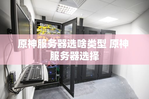 原神服务器选啥类型 原神 服务器选择