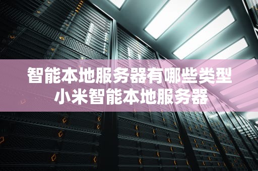 智能本地服务器有哪些类型 小米智能本地服务器