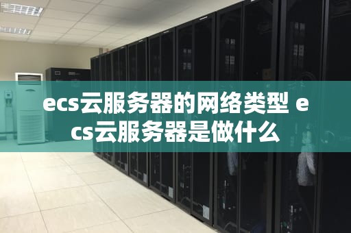 ecs云服务器的网络类型 ecs云服务器是做什么