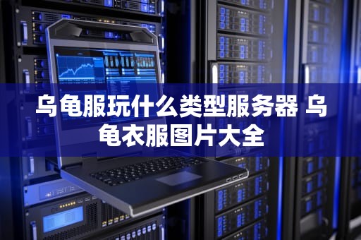 乌龟服玩什么类型服务器 乌龟衣服图片大全