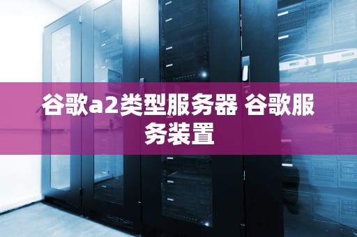 谷歌a2类型服务器 谷歌服务装置