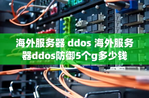 海外服务器 ddos 海外服务器ddos防御5个g多少钱