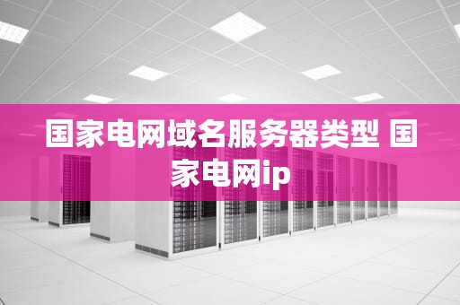 国家电网域名服务器类型 国家电网ip