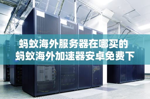 蚂蚁海外服务器在哪买的 蚂蚁海外加速器安卓免费下载