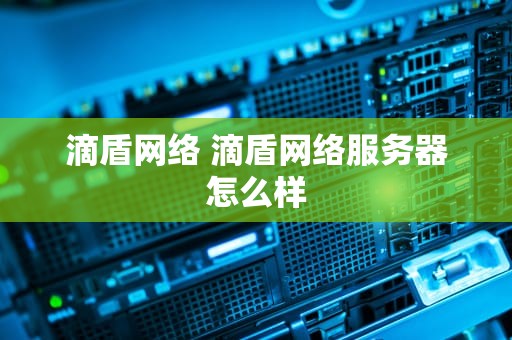 滴盾网络 滴盾网络服务器怎么样