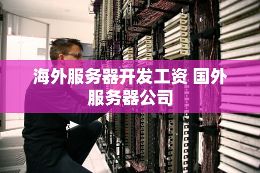 海外服务器开发工资 国外服务器公司