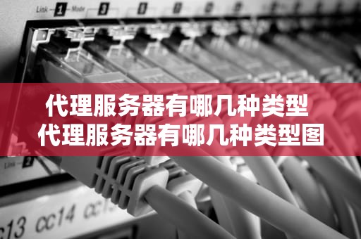代理服务器有哪几种类型 代理服务器有哪几种类型图片