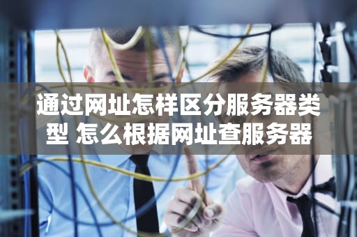 通过网址怎样区分服务器类型 怎么根据网址查服务器在哪