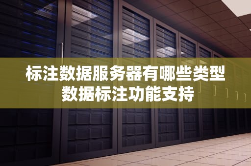 标注数据服务器有哪些类型 数据标注功能支持