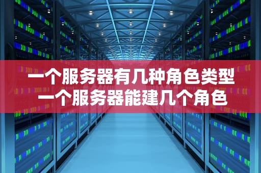一个服务器有几种角色类型 一个服务器能建几个角色