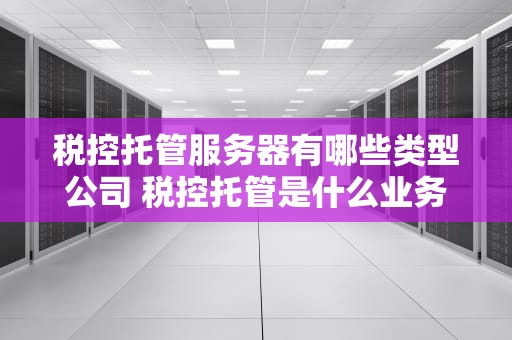 税控托管服务器有哪些类型公司 税控托管是什么业务