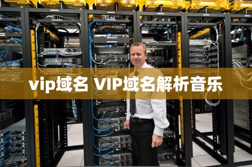 vip域名 VIP域名解析音乐