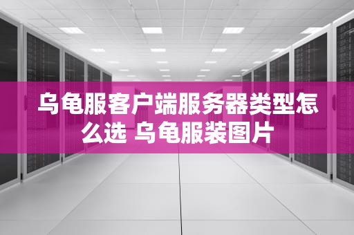 乌龟服客户端服务器类型怎么选 乌龟服装图片