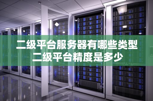 二级平台服务器有哪些类型 二级平台精度是多少