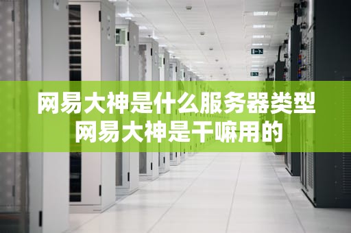网易大神是什么服务器类型 网易大神是干嘛用的