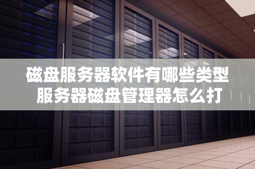 磁盘服务器软件有哪些类型 服务器磁盘管理器怎么打开