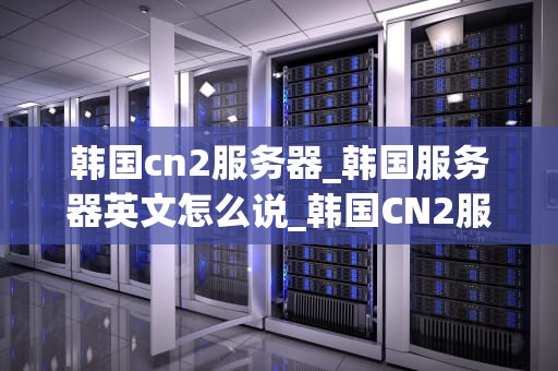 韩国cn2服务器_韩国服务器英文怎么说_韩国CN2服务器的优势及其应用领域