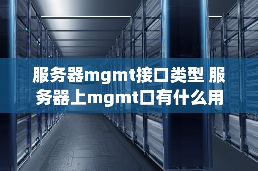 服务器mgmt接口类型 服务器上mgmt口有什么用