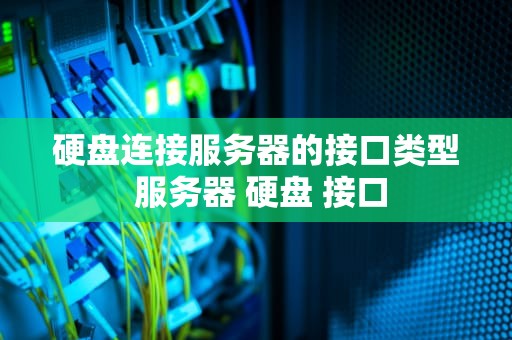 硬盘连接服务器的接口类型 服务器 硬盘 接口