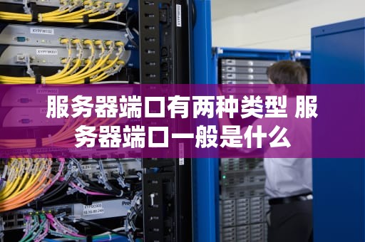 服务器端口有两种类型 服务器端口一般是什么