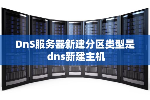 DnS服务器新建分区类型是 dns新建主机