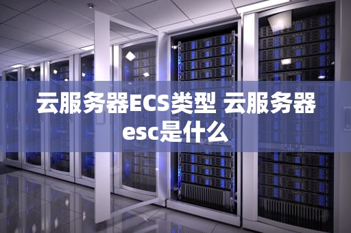 云服务器ECS类型 云服务器esc是什么