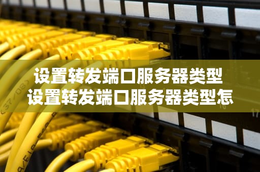 设置转发端口服务器类型 设置转发端口服务器类型怎么设置