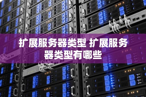 扩展服务器类型 扩展服务器类型有哪些