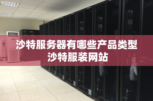 沙特服务器有哪些产品类型 沙特服装网站