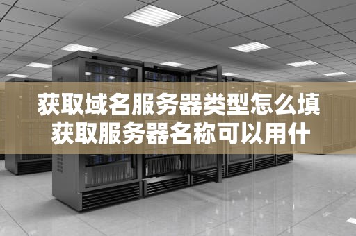 获取域名服务器类型怎么填 获取服务器名称可以用什么对象