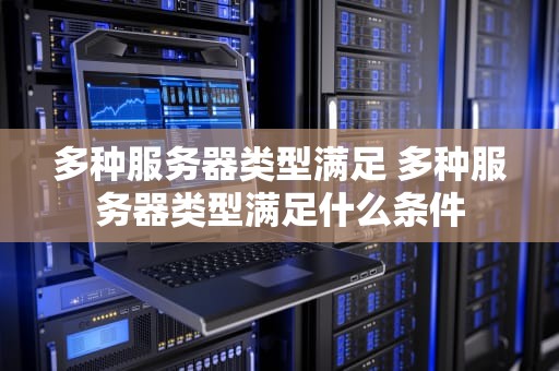 多种服务器类型满足 多种服务器类型满足什么条件