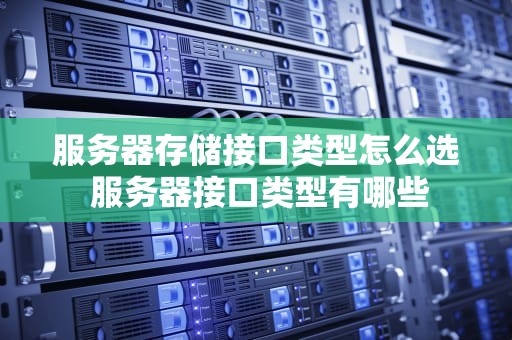 服务器存储接口类型怎么选 服务器接口类型有哪些