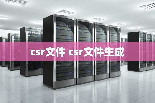 csr文件 csr文件生成