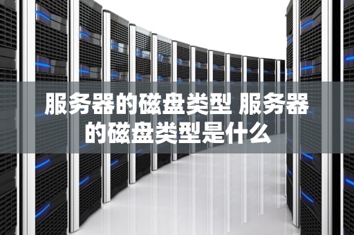 服务器的磁盘类型 服务器的磁盘类型是什么