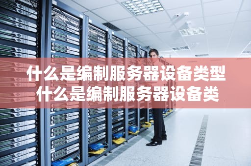 什么是编制服务器设备类型 什么是编制服务器设备类型号