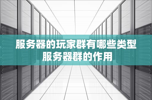 服务器的玩家群有哪些类型 服务器群的作用
