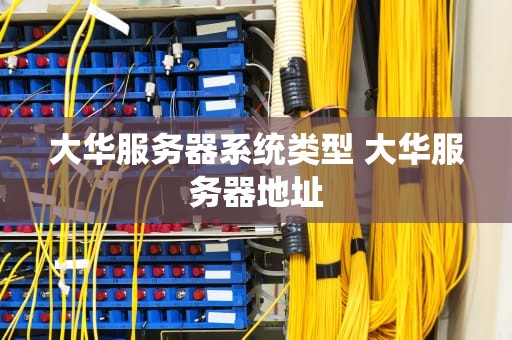 大华服务器系统类型 大华服务器地址
