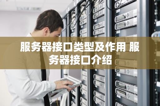 服务器接口类型及作用 服务器接口介绍