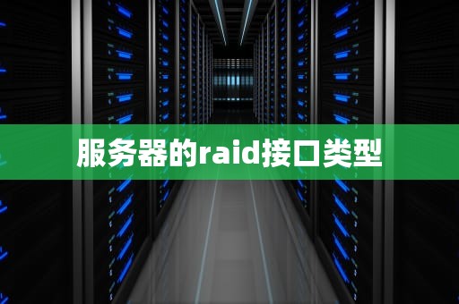 服务器的raid接口类型