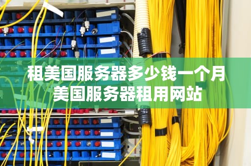 租美国服务器多少钱一个月 美国服务器租用网站