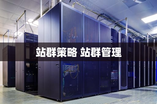 站群策略 站群管理